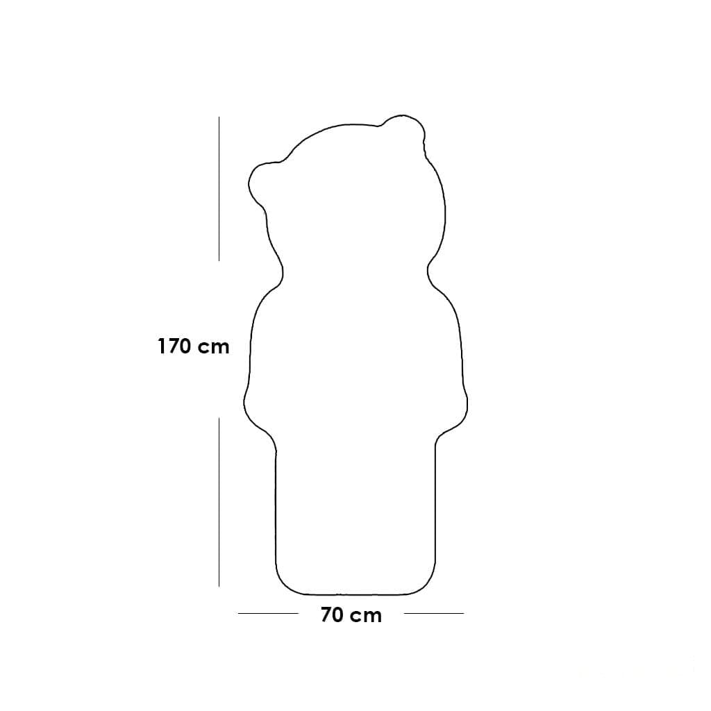 مرايا زجاج شفاف - 70×170×2 سم